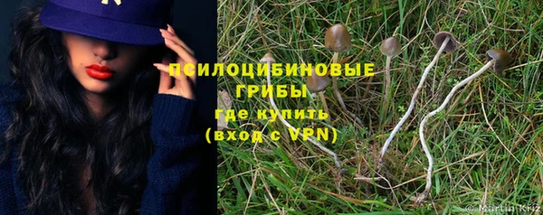 бошки Алексеевка