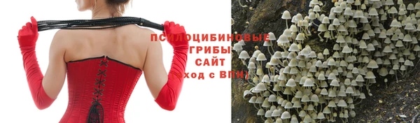 бошки Алексеевка