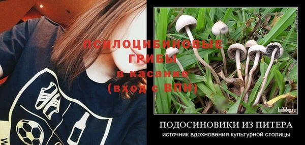 таблы Алексин